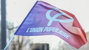 Des partisans de la France Insoumise agitent un drapeau du mouvement le 6 mars 2022 lors d'un meeting de Jean-Luc Mélenchon