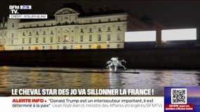 Zeus, le cheval star des Jeux olympiques sera en tournée dans toute la France