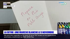 La Seyne-sur-Mer: une marche blanche en mémoire du petit garçon de 7 ans décédé sous les coups de son beau-père