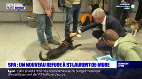 Un nouveau refuge pour la SPA à Saint-Laurent de Mure