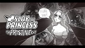 A quoi on joue ? Slay the princess