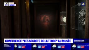 Lyon: "Les secrets de la Terre" au musée des Confluences