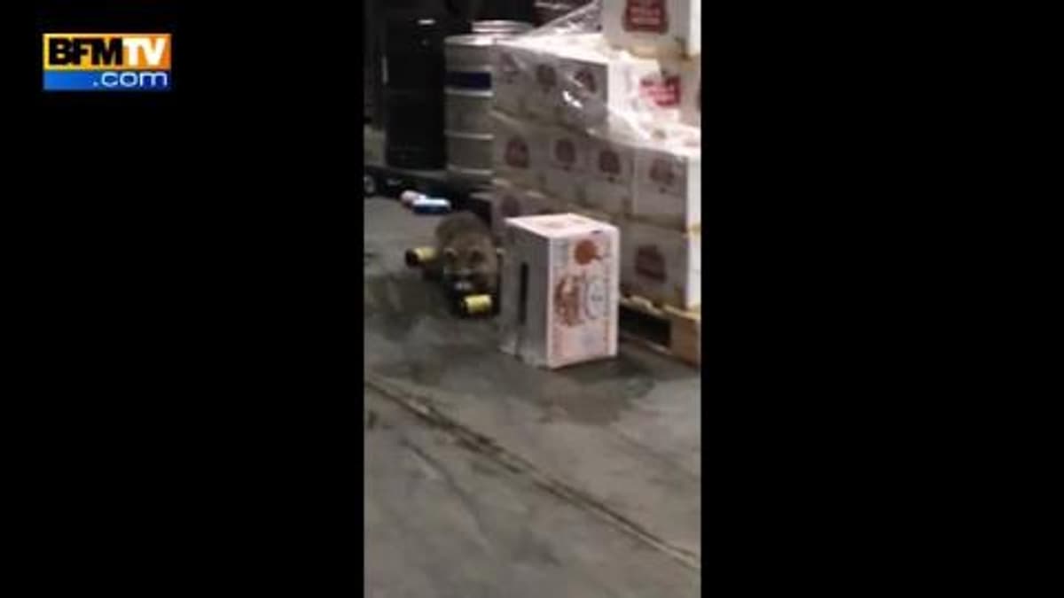 placeholder video