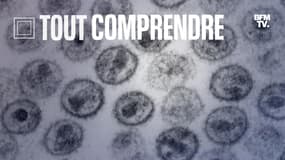 Le VIH vu en microscopie électronique à transmission.