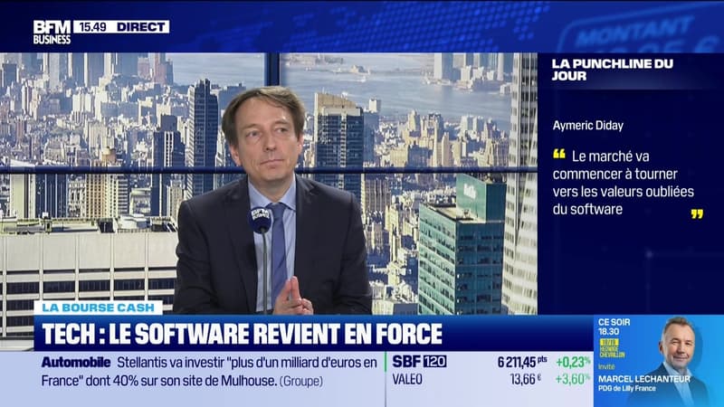 La bourse cash : "Le marché va commencer à tourner vers les valeurs oubliées du software" - 02/06