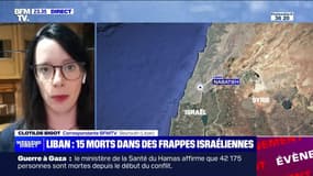 Liban : 15 morts dans des frappes israéliennes - 13/10