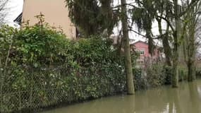 Nogent-sur-Marne sous les eaux  - Témoins BFMTV