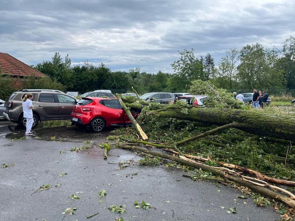 Plusieurs voitures stationnées sur un parking ont vu des arbres s'abattre sur elles ce jeudi.