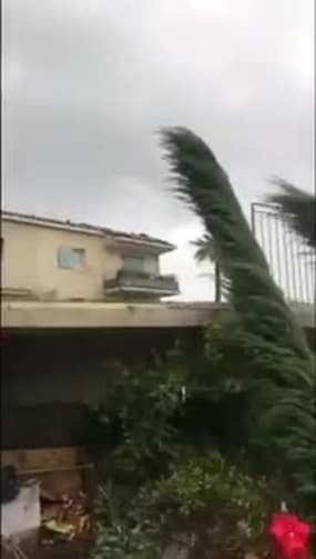 Les ravages de la tornade dans le Var - Témoins BFMTV