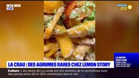 Planète locale Var : La Crau : des agrumes rares chez Lemon Story.