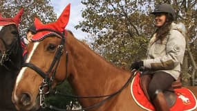 Le "bonnet rouge" est utilisé à tout propos, y compris par les centres équestres manifestant contre la hausse de la TVA.