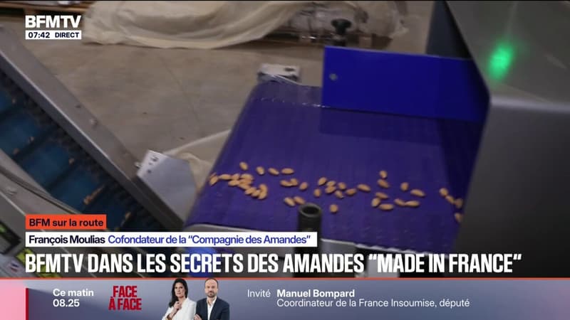 BFM SUR LA ROUTE - La filière des amandes "made in France" s'organise pour lutter face à l'hégémonie américaine