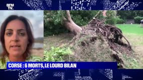 Corse : six morts, le lourd bilan - 18/08