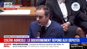 Colère agricole: "La stratégie sanitaire du gouvernement ne se fera pas par la force", répond Sébastien Lecornu aux députés