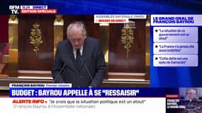François Bayrou: "L'épée de Damoclès de la motion de censure parait avoir installé la précarité au sommet de l'État"