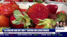 Impact: "La Ruche Qui dit Oui" ouvre des boutiques, par Cyrielle Hariel - 29/04