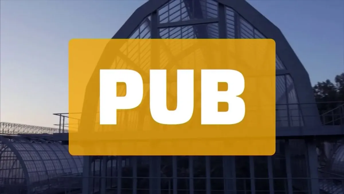 placeholder video