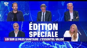 Story 3 : L'essentiel du texte sur le pass sanitaire validé par le Conseil constitutionnel - 05/08