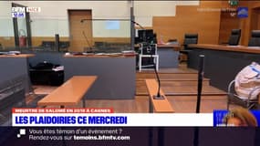 Procès du meurtre de Salomé à Cagnes-sur-Mer: les plaidoiries s'ouvrent ce mercredi