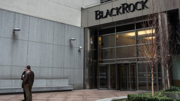 Le Fonds Blackrock, leader mondial de la gestion d'actifs, a la puissance pour faire avancer ses idées. 