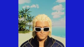 L'avatar de Michel Polnareff
