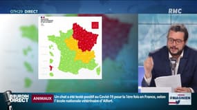 #Magnien, la chronique des réseaux sociaux : Rendez-nous la mer ! - 04/05
