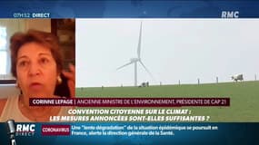 Premières mesures issues de la convention citoyenne sur le climat: "des progrès très faibles"