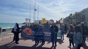 450 personnes ont manifesté à Nice ce samedi contre l'extention de l'aéroport, selon les chiffres de la police.