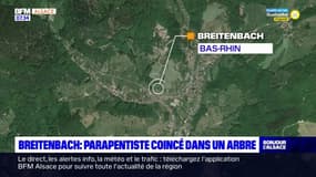 Breitenbach: un parapentiste secouru à plus de 30 mètres de haut dans un arbre