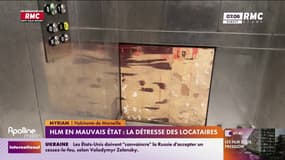 HLM en mauvais état: la détresse des locataires 