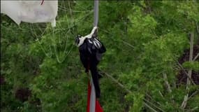 Espagne : un parachutiste percute un poteau électrique pendant le défilé de la fête nationale