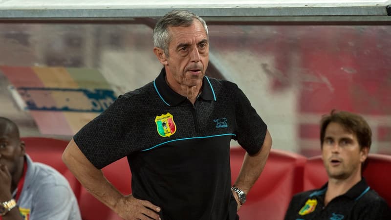 Alain Giresse