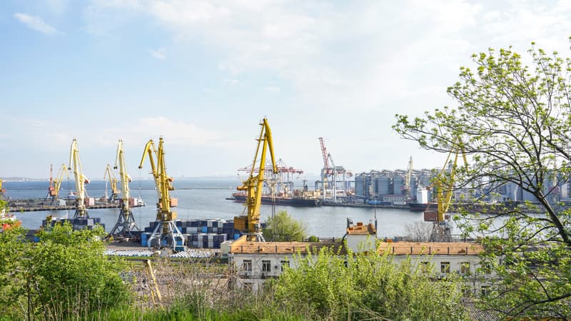Guerre en Ukraine: des frappes russes provoquent une pollution à l'huile végétale en mer Noire