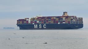 Un porte-conteneur de l'entreprise MSC (Mediterranean Shipping Company) en attente de déchargement des marchandises dans le port de Los Angeles (Californie) le 6 octobre 2021 