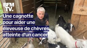 Var: une cagnotte pour venir en aide à une éleveuse de chèvres atteinte d'un cancer