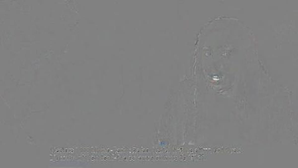 placeholder video