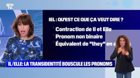 Il/Elle : la transidentité bousclule les pronoms - 18/10