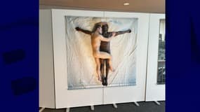 Une photo de l'artiste Elisabeth Ohlson au Parlement européen 