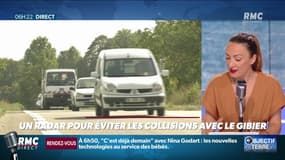 Objectif Terre : Un radar pour éviter les collisions avec le gibier - 31/07