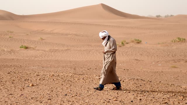 Dans le sud du Sahara marocain.