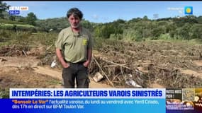 Intempéries dans le Var: les agriculteurs dressent un premier bilan