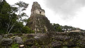 Le parc de Tikal est le principal site archéologique maya du Guatemala, situé à plus de 500 km au nord de la capitale. (Photo d'illustration)