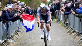 Mathieu van der Poel lors de sa victoire sur l'E3 Saxo Bank Classic le 28 mars 2025