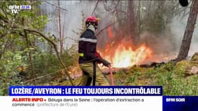 Incendies: en Lozère et dans l'Aveyron, les feux toujours incontrôlables