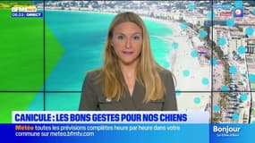 Le journal de 8h du jeudi 14 août 2025