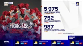 Covid en Ile-de-France: la fin du mois "extrêmement redoutée"