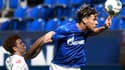 Todibo