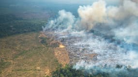 Incendie dans le parc national de Chiribiquete, dans le nord-ouest de l'Amazonie colombienne, le 4 février 2022