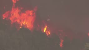 Menacés par les flammes, plusieurs villages et hameaux de l’Île d’Eubée ont été évacués