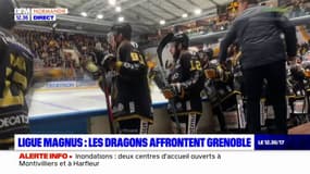 Hockey sur glace: les Dragons de Rouen affrontent Grenoble en Ligue Magnus